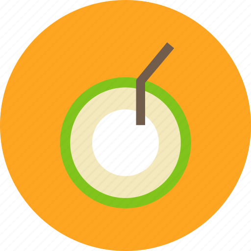 Coconut, fruit, journey, tourist, travel, vacation icon - Download on Iconfinder