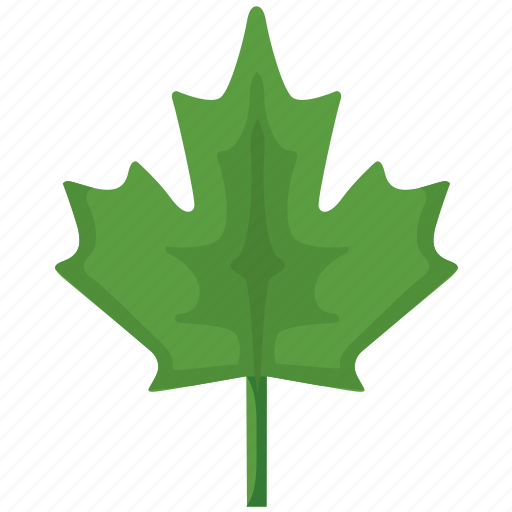 Canada, green, leaf, nature, plant icon - Download on Iconfinder