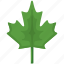 canada, green, leaf, nature, plant 