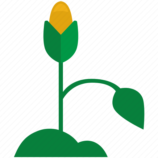 Corn, grow, nature, plant icon - Download on Iconfinder
