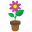 flower, grow, plant, pot 