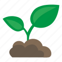 earth, green, grow, leaf, plant, tree 