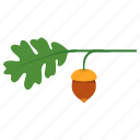leaf, nut, oak, plant, tree