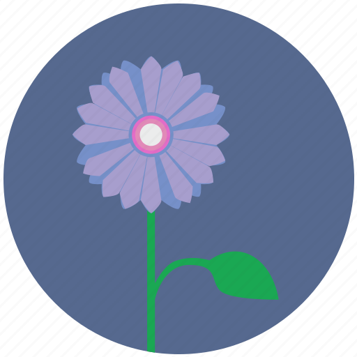 Bud, flower, nature, plant, round icon - Download on Iconfinder
