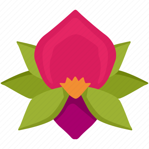 Bud, flower, nature, orchid, plant icon - Download on Iconfinder