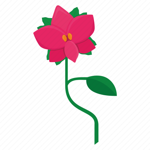 Bud, flower, nature, orchid, plant icon - Download on Iconfinder