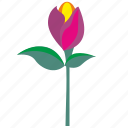 bud, flower, gift, plant, rose