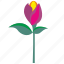 bud, flower, gift, plant, rose 