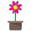 bud, flower, open, plant, pot 