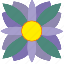 bud, flower, plant, violet 