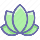 american lotus, beauty, flower, green, harmony, lotus, nature, plant, relax, relaxation, spa, wellness, wild spring flower, yoga 