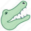 alligator 