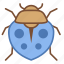 insect 