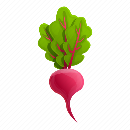Beet, eco, food, eat icon - Download on Iconfinder