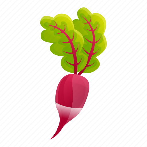 Beet, food, green, leaf, summer icon - Download on Iconfinder