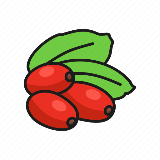 Barberry, berries, berry, herbs, nature, plant icon - Download on Iconfinder