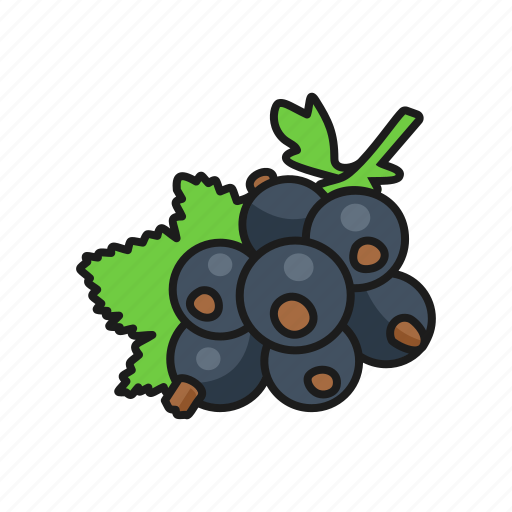 Berries, berry, black currant, currant, nature, plant icon - Download on Iconfinder