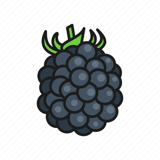 Berries, berry, blackberry, nature, plant icon - Download on Iconfinder