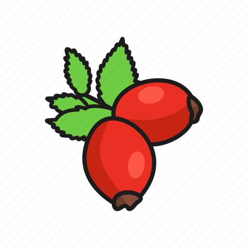 Berries, berry, dog rose, nature, plant icon - Download on Iconfinder