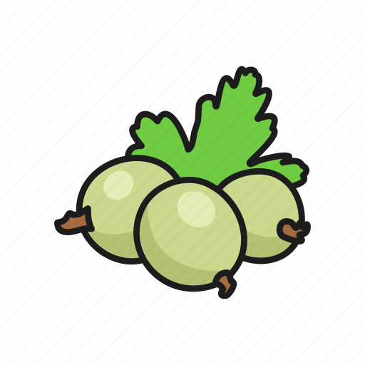 Berries, berry, gooseberry, nature, plant icon - Download on Iconfinder