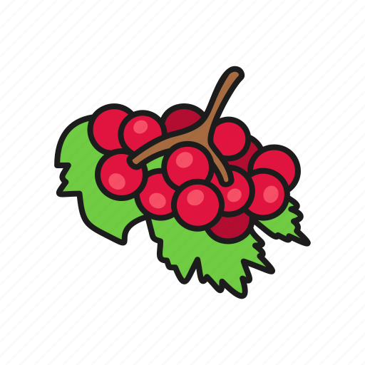 Berries, berry, guelder rose, nature, plant icon - Download on Iconfinder