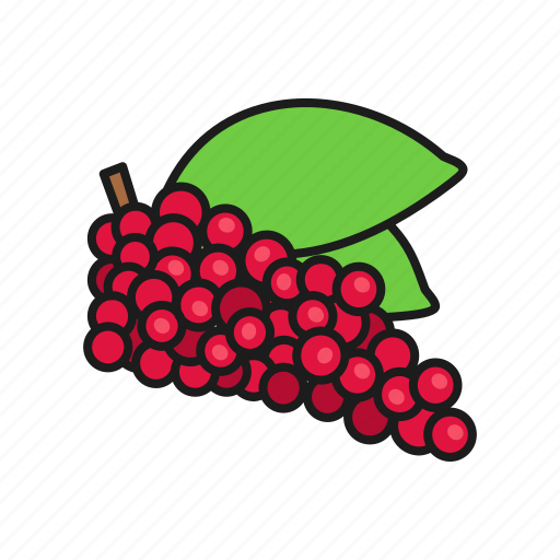 Berries, berry, lemongrass, nature, plant, schisandra, schisandra chinensis icon - Download on Iconfinder