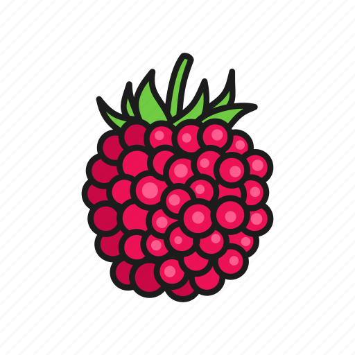 Berries, berry, nature, plant, raspberry icon - Download on Iconfinder