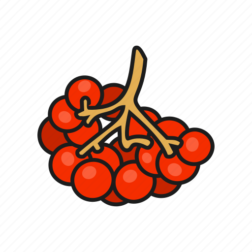 Berries, berry, nature, plant, rowan icon - Download on Iconfinder
