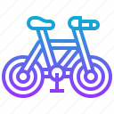 bike, mountain, recreation, sport, vehicle