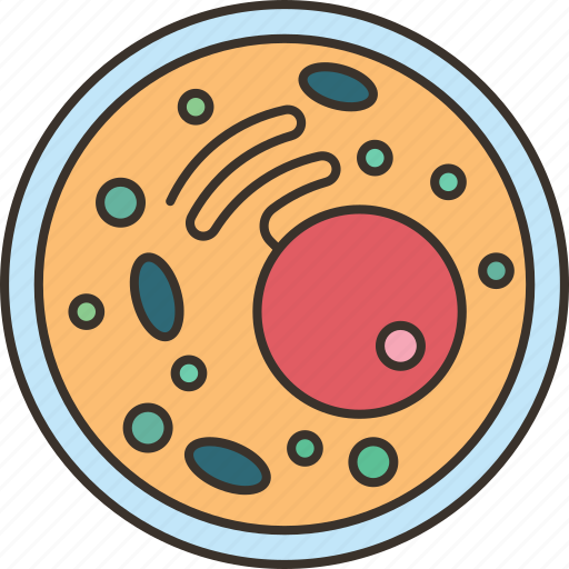 Cell, biology, structure, organelles, science icon - Download on Iconfinder