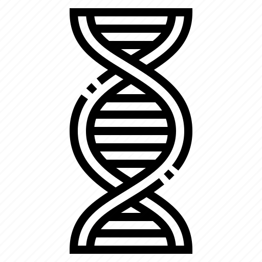 Genetic, dna, chromosome, structure, education, biochemistry icon - Download on Iconfinder