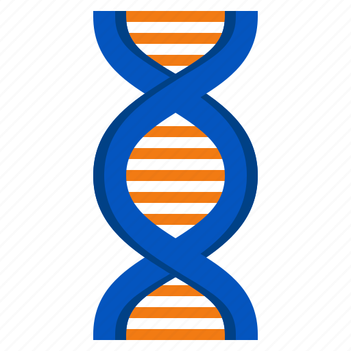 Genetic, dna, chromosome, structure, education, biochemistry icon - Download on Iconfinder