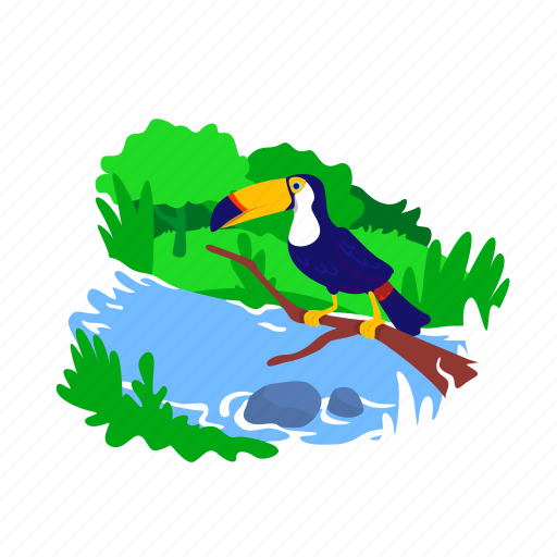 Exotic, toucan, bird, wildlife, tropical jungle illustration - Download on Iconfinder