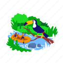 toucan, tropical jungle, raft, tourism, water 