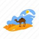 camel, sahara, dune, sand, desert 