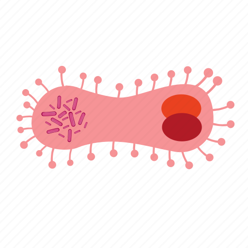 Biology, cell, infusorium, microbe, virus icon - Download on Iconfinder