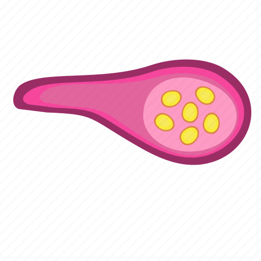 Bactery, biology, cell, virus icon - Download on Iconfinder