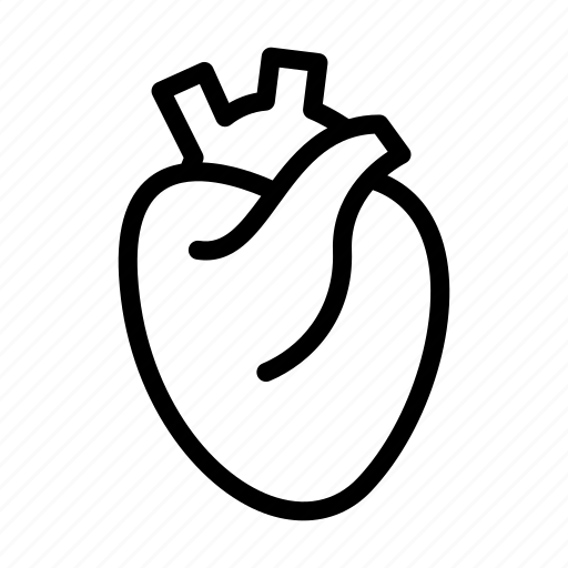 Body, cardiology, heart, organ, science icon - Download on Iconfinder