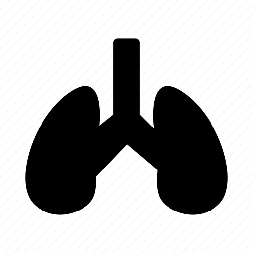 Biology, body, breath, lungs, organ icon - Download on Iconfinder