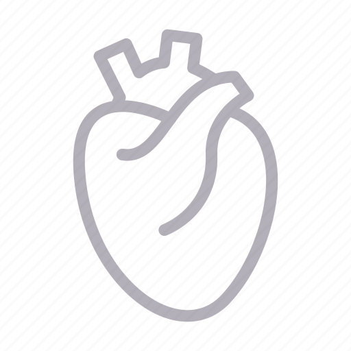Body, cardiology, heart, organ, science icon - Download on Iconfinder