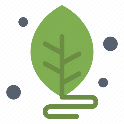 Biology, lab, leaf, science icon - Download on Iconfinder
