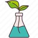 biology, research, science, leaf, nature, tube, growth, test, flask