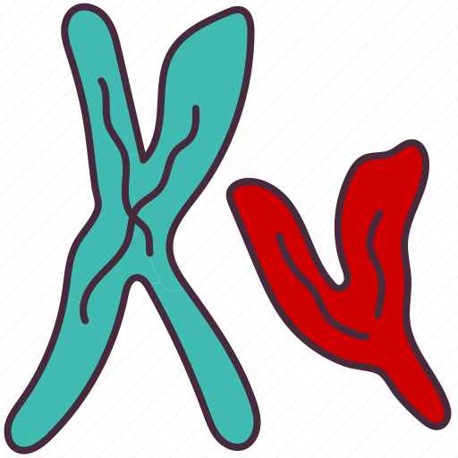 Chromosome, gene, biology, medicine, micro, molecular, structure icon - Download on Iconfinder