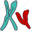 chromosome, gene, biology, medicine, micro, molecular, structure 