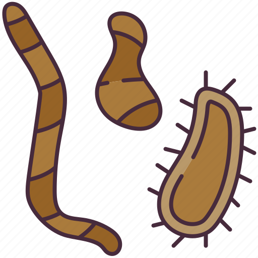 Earthworm, biology, science, horizontal, horse, illness, nostalgia icon - Download on Iconfinder