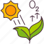 photosynthesis, carbon, oxygen, science, life, leaf, nature, grow, plant 