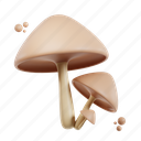 fungus, fungi, mushroom, mushrooms 