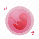embryo, pregnancy, baby, fetus, pregnant, maternity, woman, female 