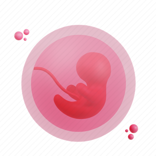 Embryo, pregnancy, baby, fetus, pregnant, maternity, woman 3D illustration - Download on Iconfinder