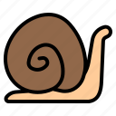snail, turtle, slow, biology, science
